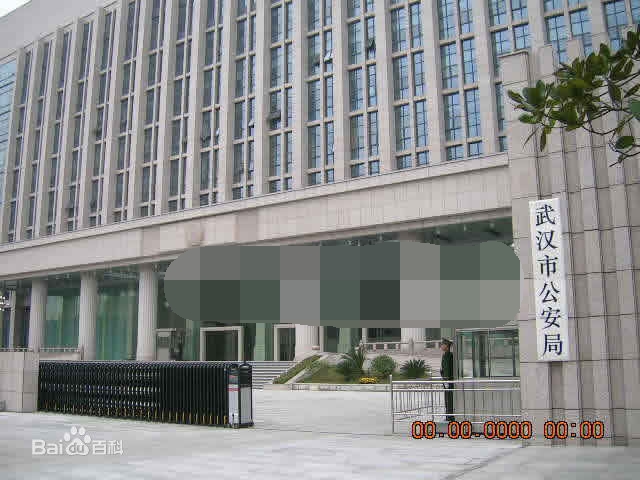 武汉市公安局110报警信息分析辅助决策系统监理项目